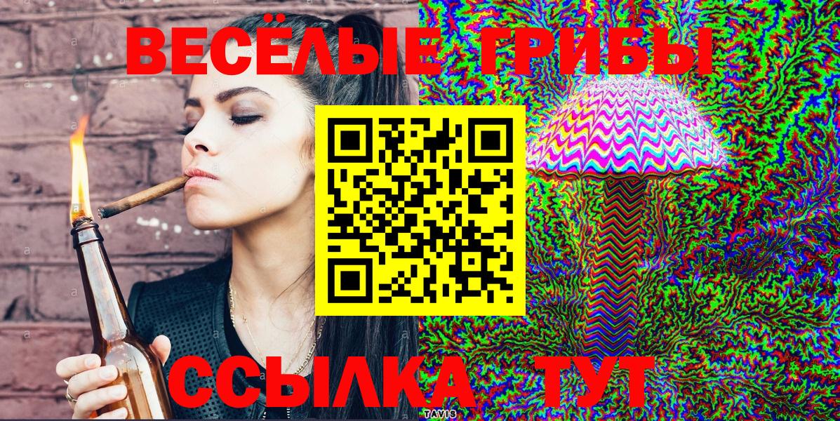 Псилоцибиновые грибы Psilocybine cubensis Полевской