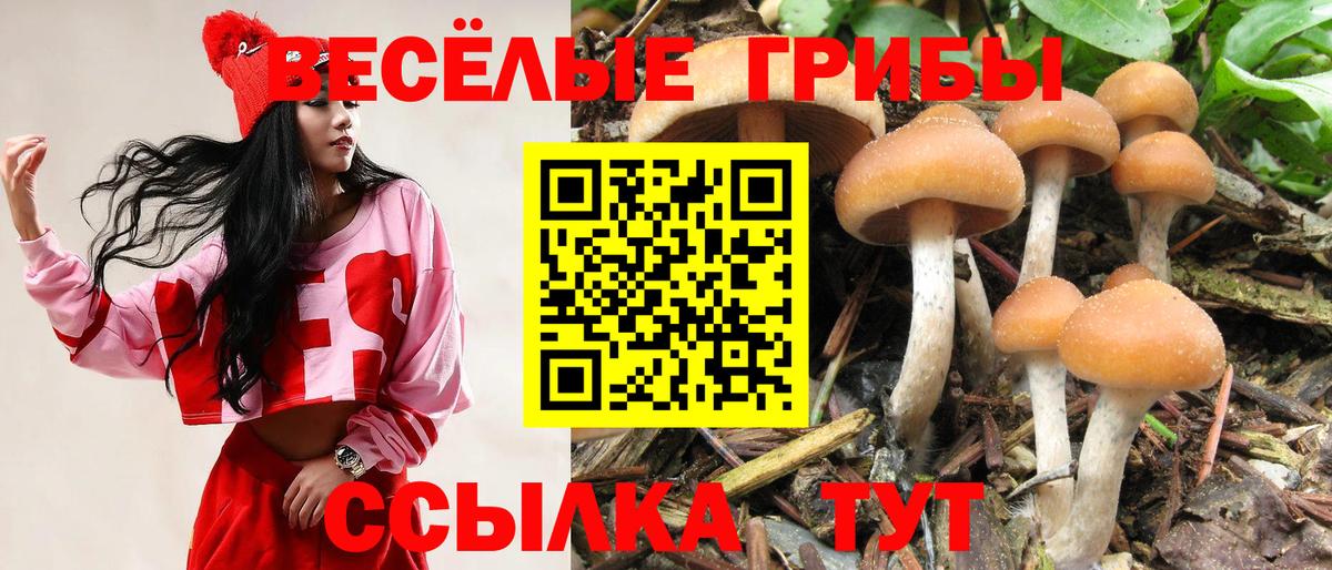 даркнет сайт  Псилоцибиновые грибы Psilocybine cubensis  Вход с VPN  Псилоцибиновые грибы Psilocybe  Полевской 